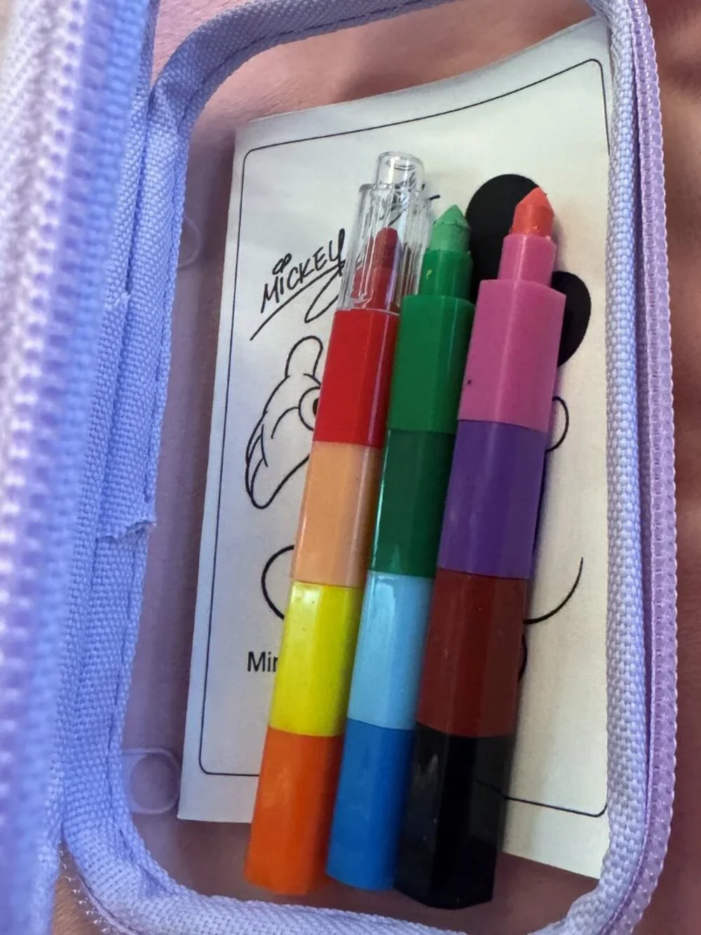 Disney Character Inspired Clear Hard Shell Dual Zipper Container Fish Extenders
